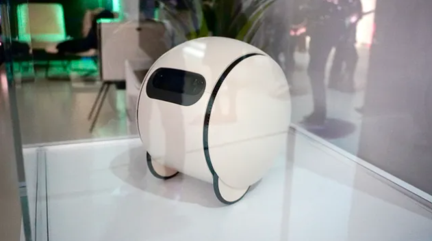 CES2024看到的15款最佳机器人和人工智能技术(图9)