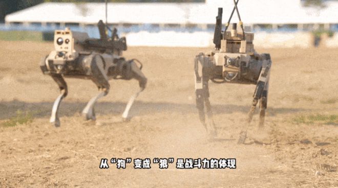 星空智能科技：2024新型新型商用健身有氧训练交叉训练器健身房运动器材椭圆机(图2)