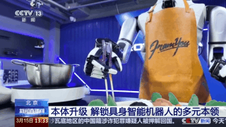“大小脑”协同解锁具身智能机器人的多元本领(图5)