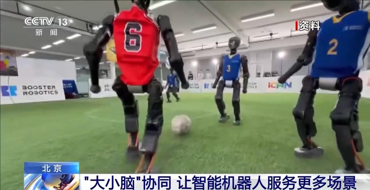 “大小脑”协同解锁具身智能机器人的多元本领(图12)