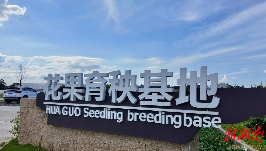 星空智能科技：长沙县果园镇：“机械+农技”双翼托起五谷丰登梦(图2)