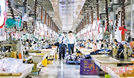 莆田市公安经侦部门全力护航绿色高质量发展(图1)