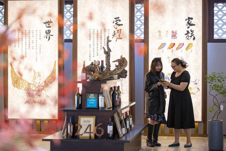 星空智能科技：聚人气拓市场共奋进——“塞上江南”经济焕发新活力(图7)
