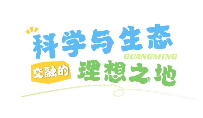 从农场到科学城深圳光明书写传奇(图14)