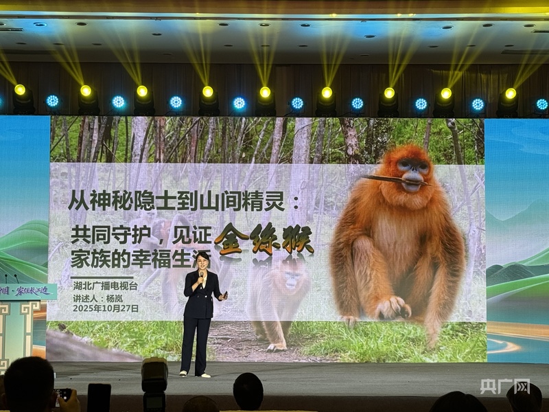 何以中国｜古今对话间探源长江文明新气象(图4)