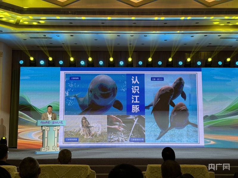 何以中国｜古今对话间探源长江文明新气象(图3)