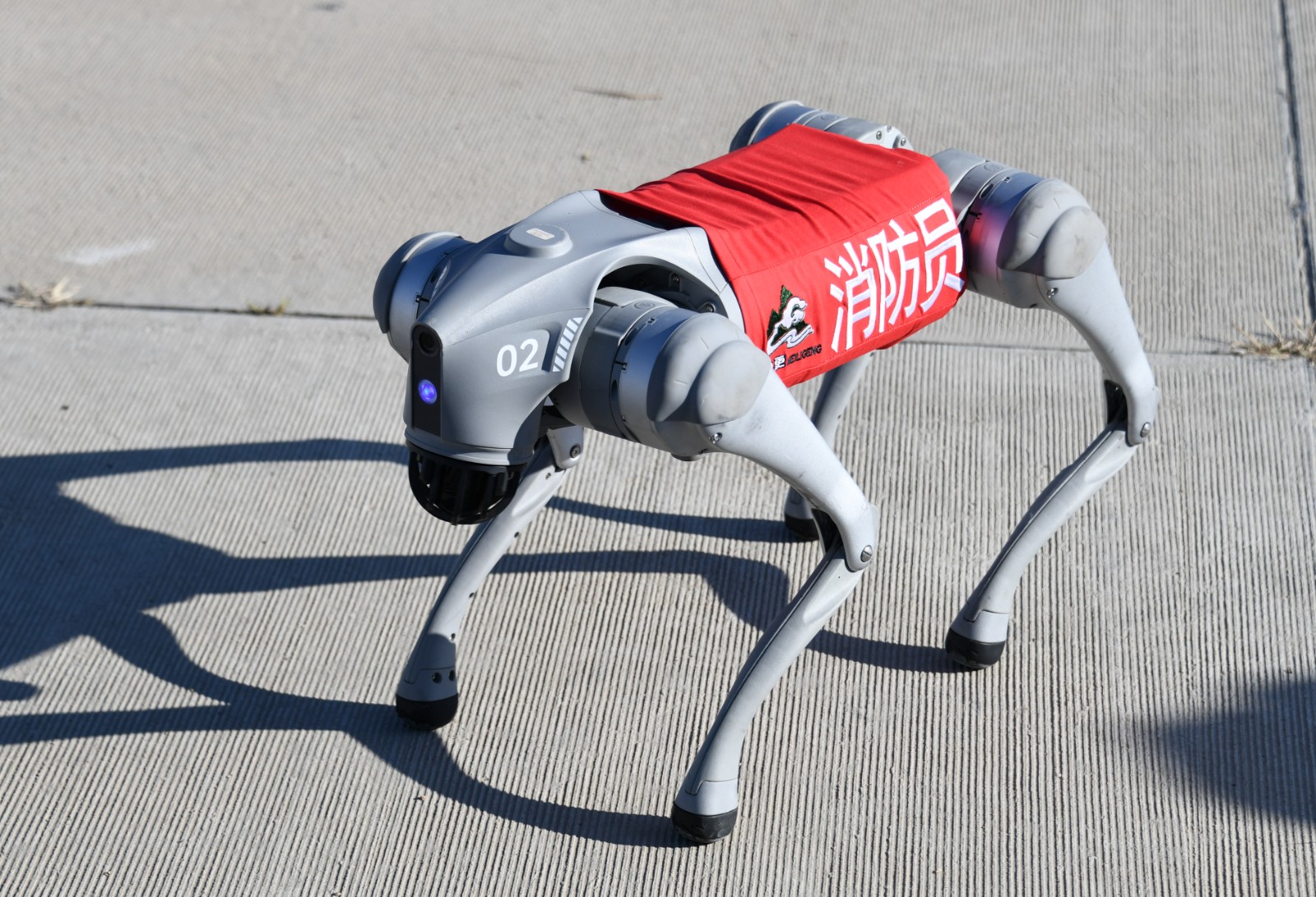 我们的“十四五”｜筑牢安全网守护幸福梦(图4)