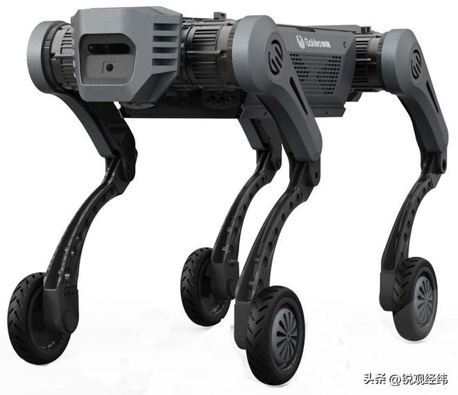 星空体育科技：中国机器狗击败美国巨头中国科企强势突围抢占全球市场(图4)