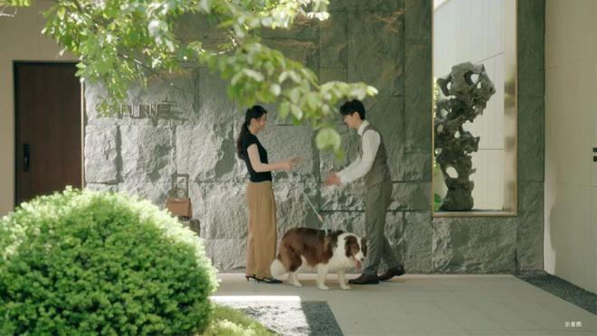 星空智能科技：杨浦好房@缦云上海售楼处发布：一线滨江豪宅(图20)