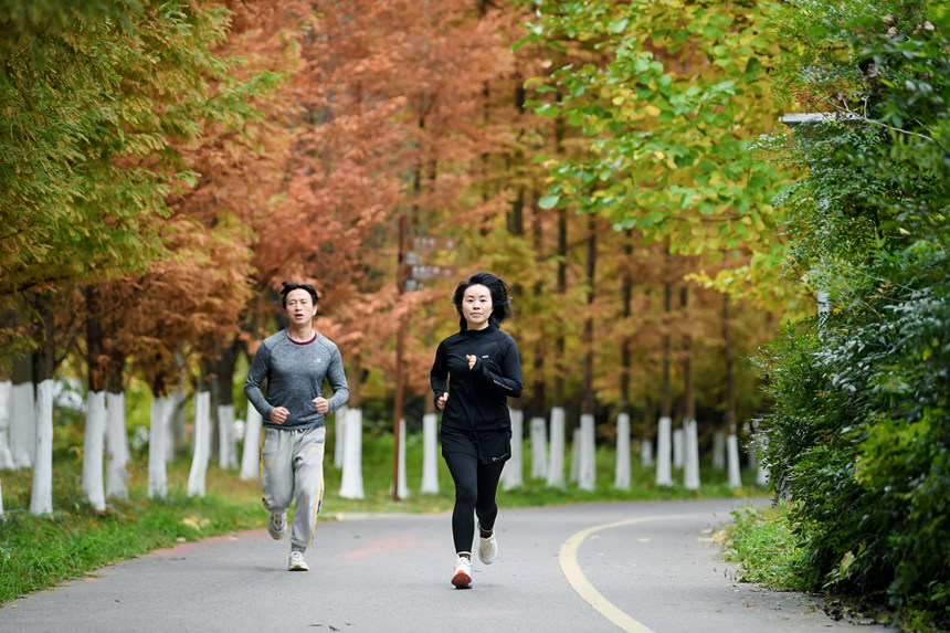 毕节七星关区：体彩力量筑就城市“金角银边”(图2)