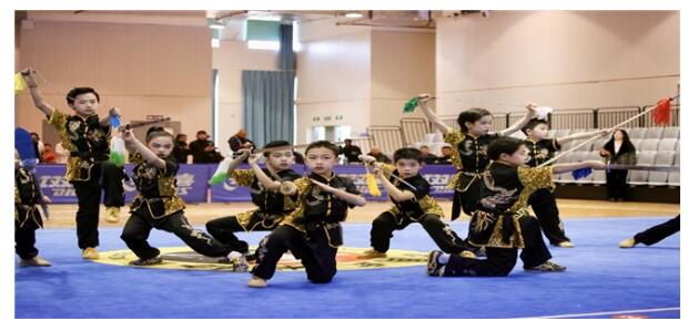 体教融合育新苗！南通校园武术赛海安落幕市县校联动筑牢梯次培养体系(图7)