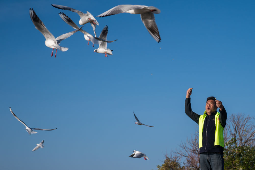 镜观·回响丨弘扬奉献、友爱、互助、进步的志愿精神(图4)