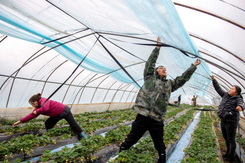 镜观·回响丨弘扬奉献、友爱、互助、进步的志愿精神(图13)