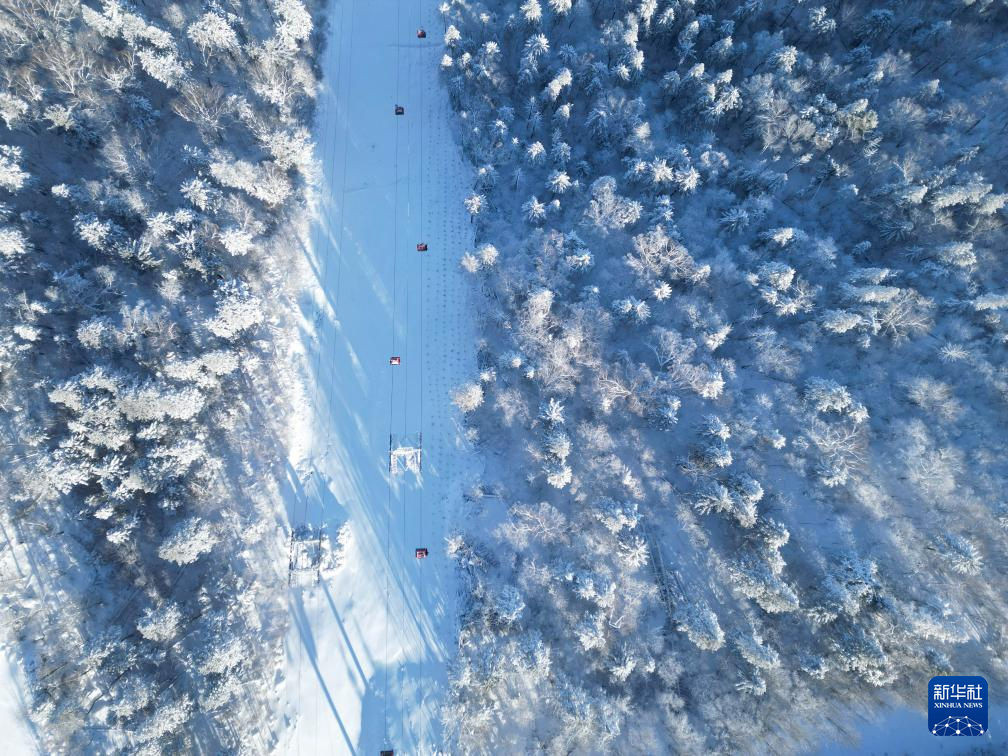 星空智能科技：stylecontent(图4)