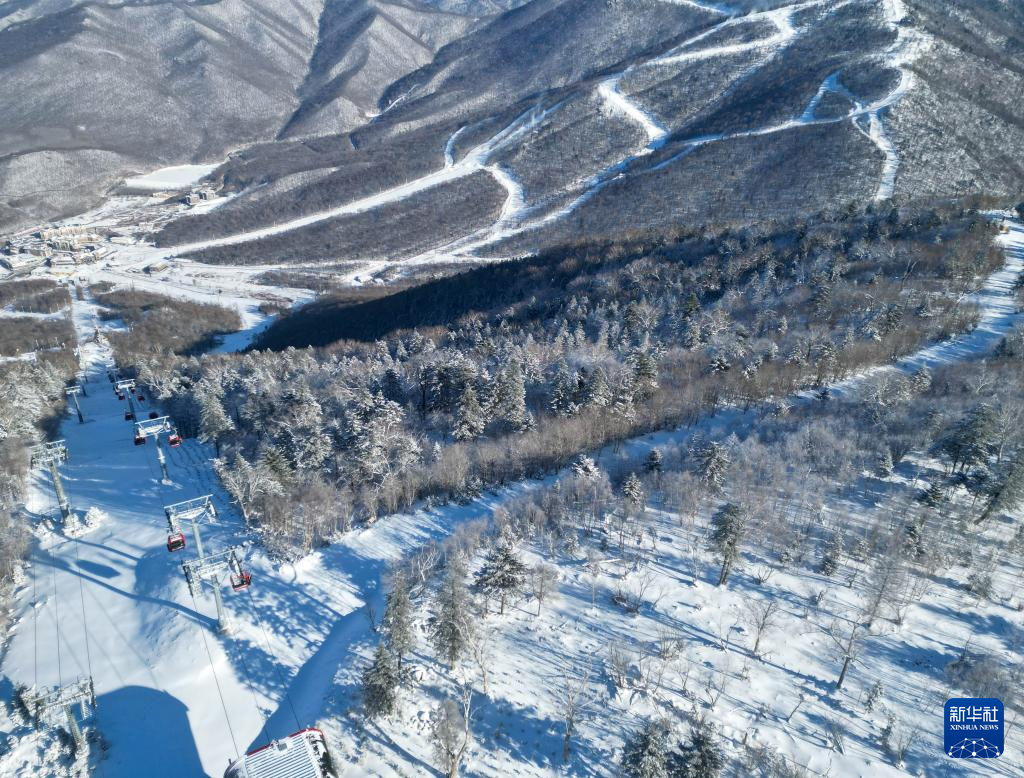 星空智能科技：stylecontent(图8)