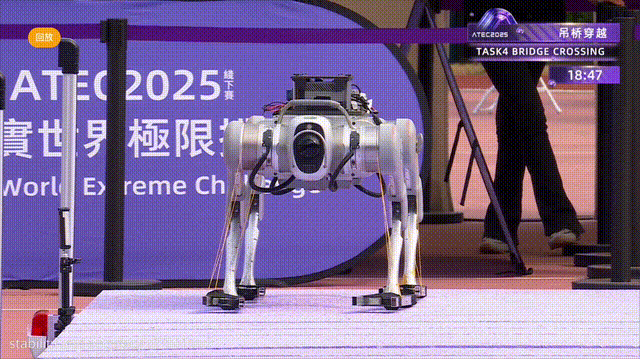 全球TOP13战队翻车实录！机器人极限求生比科幻片还残酷(图14)