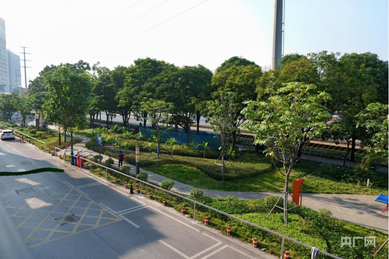 从“健身去哪儿”到“活力满邕城”解码南宁体育强市建设新路径(图3)